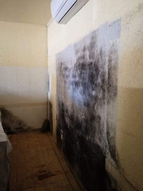 Trabajos de pintura en comedores