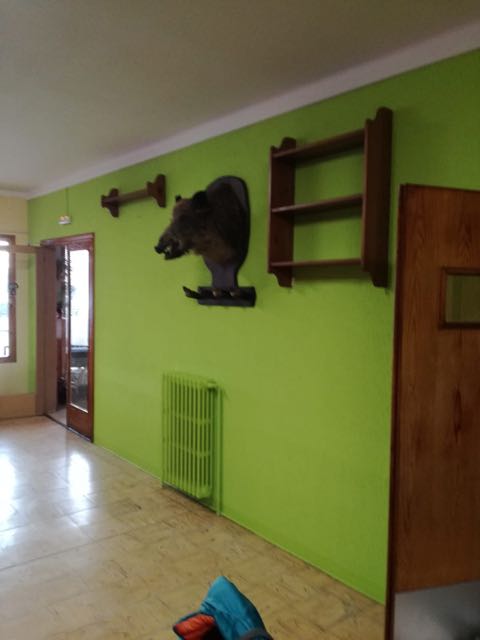 Trabajos de pintura en comedores